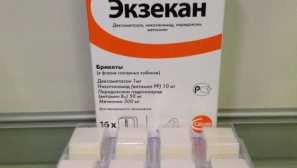 Eczecan pro psy - kdy a jak aplikovat